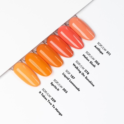 PN LongWear 303 Spritz-It 10 ml