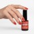 BCOLOUR-423-Trust-Rust-1.jpg