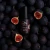 SOP-398-wild-fig-1.WebP