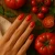 SOP-403-tomato-2.WebP